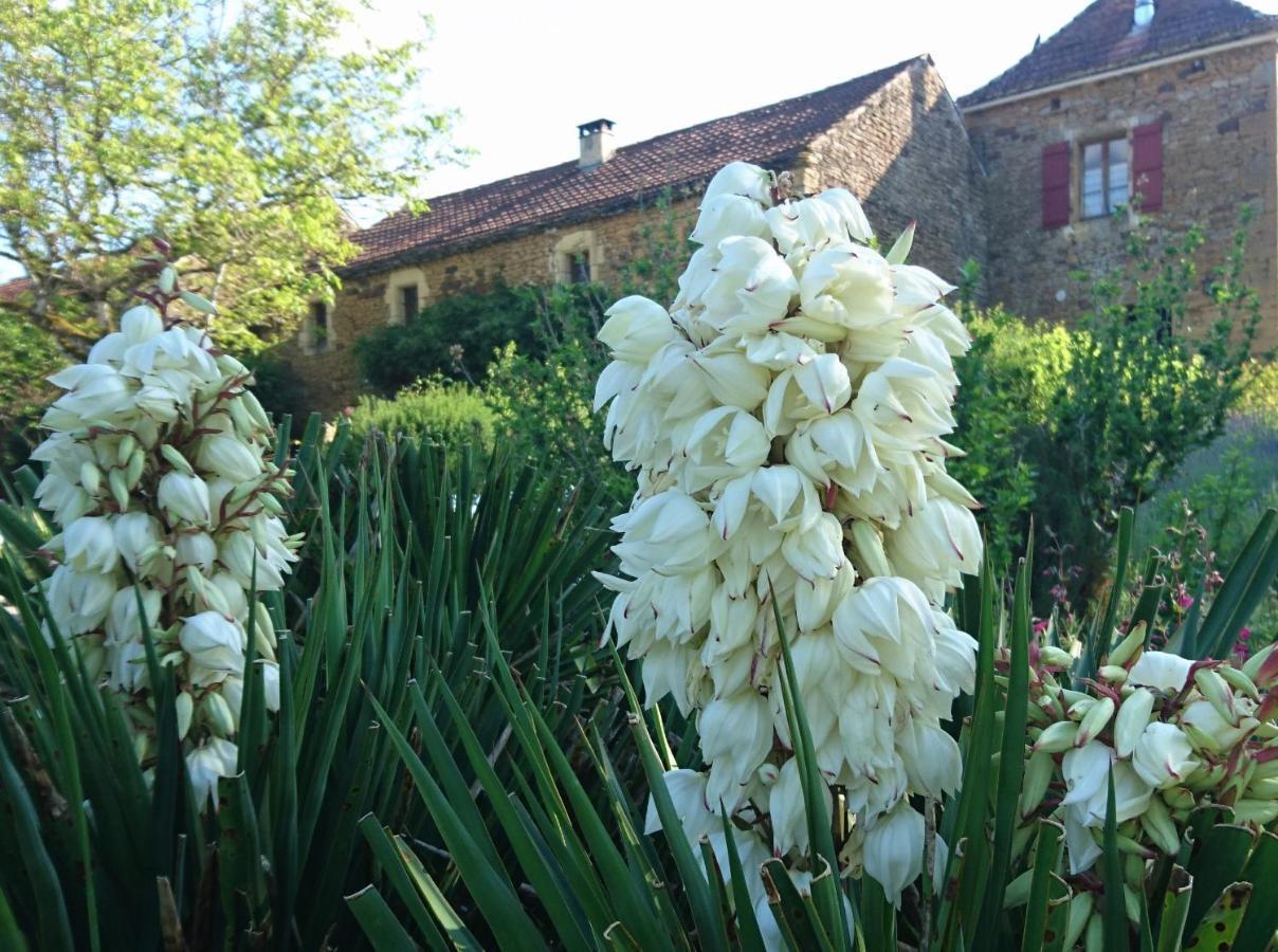 La Libellule And Le Papillon Gites At Les Leroux, Near Frayssinet-Le-Gelat Ngoại thất bức ảnh