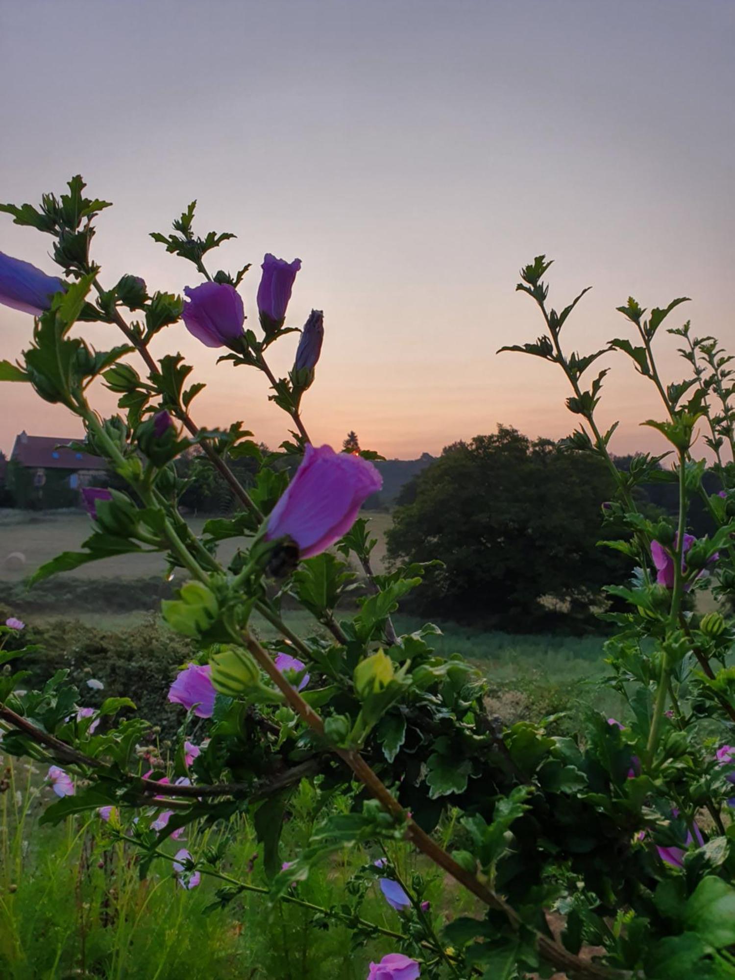 La Libellule And Le Papillon Gites At Les Leroux, Near Frayssinet-Le-Gelat Ngoại thất bức ảnh